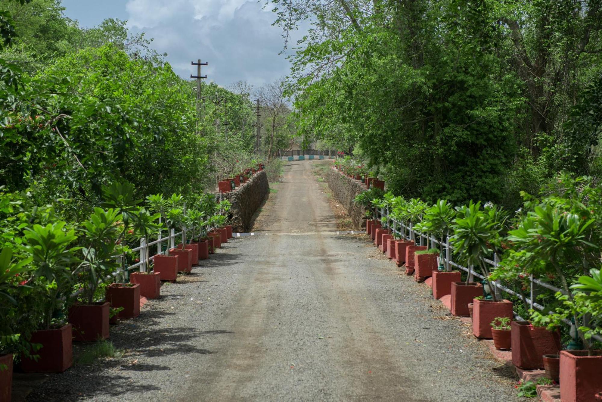 Gir Serai - Ihcl Seleqtions Sasan Gir Extérieur photo